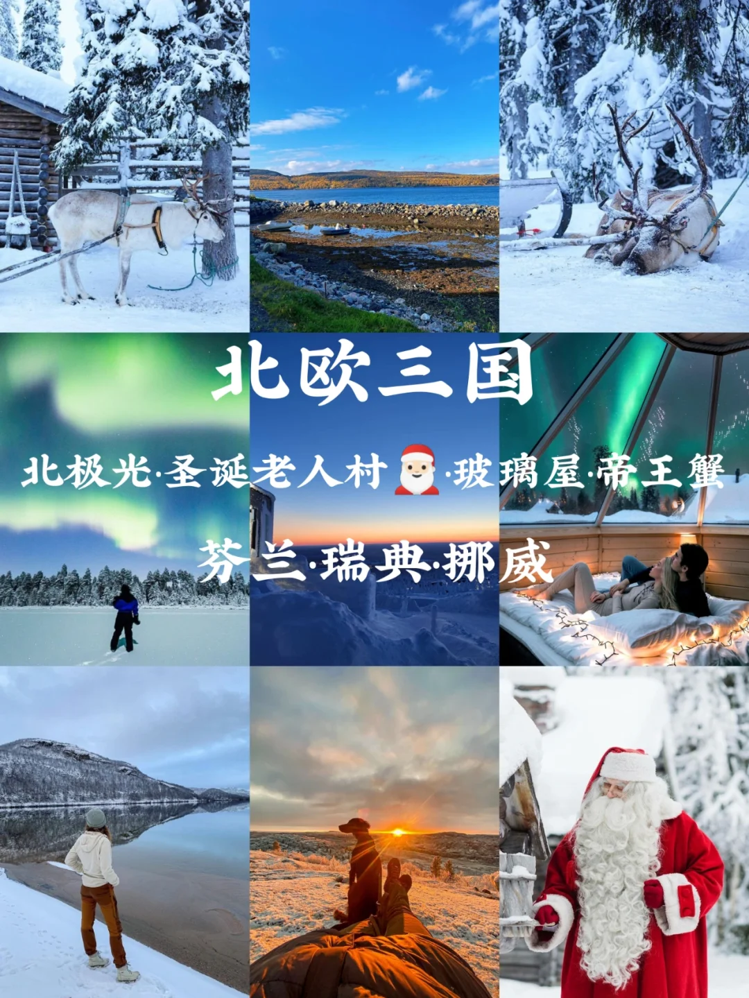 关于瑞典代表团披荆斩棘，锋芒毕露的信息