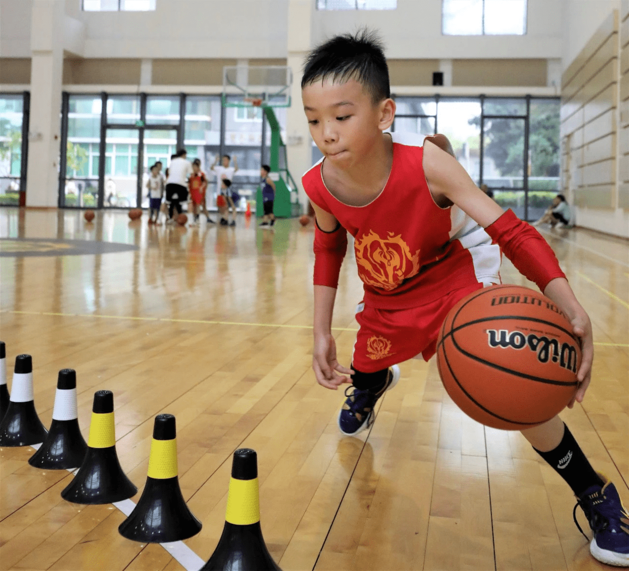 中欧体育平台-青少年篮球培训项目在全国大力推广